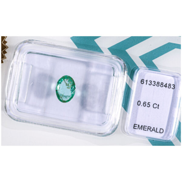 IGI Certificate Natural Emerald 0.65 ct. - Image 11